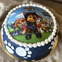 En hemmagjord Paw Patrol tårta med alla valparna på, redo för ett äventyr! Perfekt för ett litet fan.
